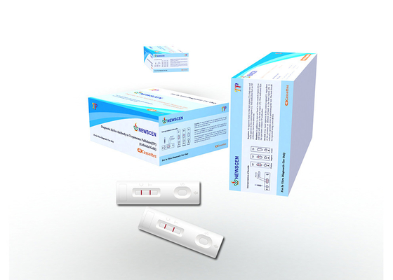 In-vitro- Diagnose-97,5% Genauigkeits-Syphilis-schnelle Test-Ausrüstung